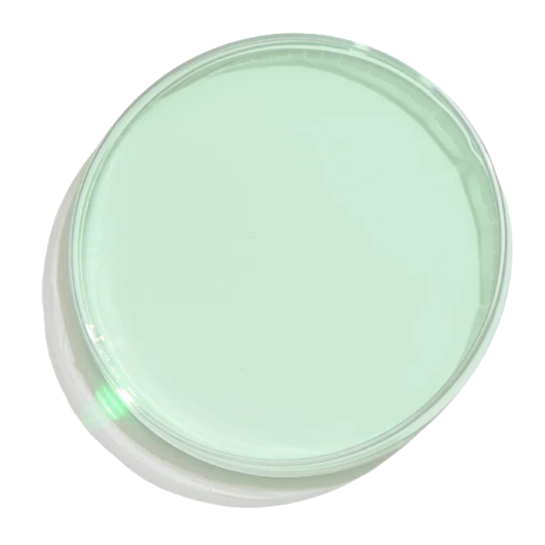 GREEN TEA EXTRACT